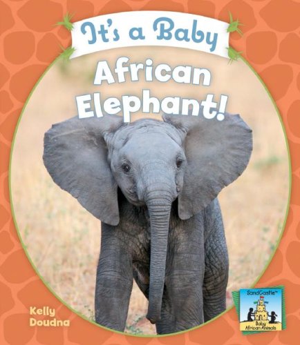 Stock image for It's a Baby African Elephant! for sale by Better World Books