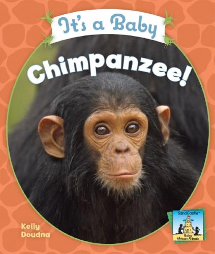 Beispielbild fr It's a Baby Chimpanzee! (Baby African Animals) zum Verkauf von Wonder Book