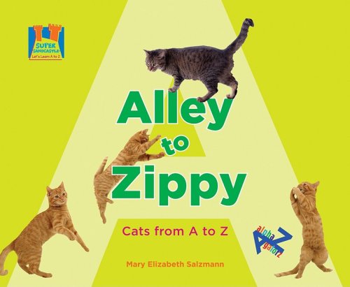 Beispielbild fr Alley to Zippy: Cats from A to Z (Super Sandcastle: Lets Learn A to Z) zum Verkauf von Reuseabook