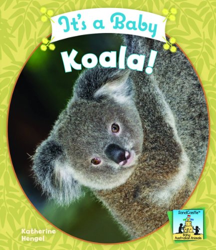 It's a Baby Koala! (Baby Australian Animals) - Katherine Hengel