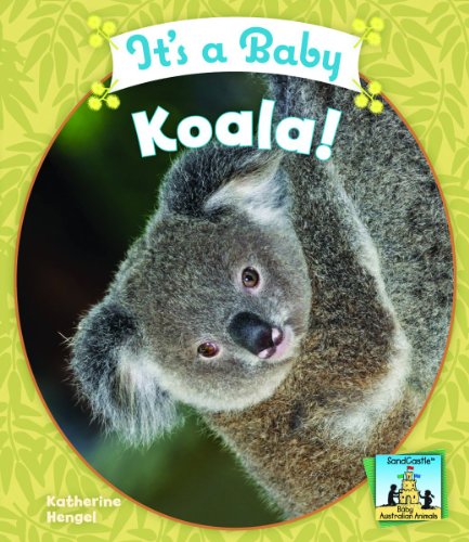 Stock image for It's a Baby Koala! for sale by Better World Books