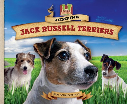 Jumping Jack Russell Terriers (Dog Daze) (9781604536171) by Scheunemann, Pam