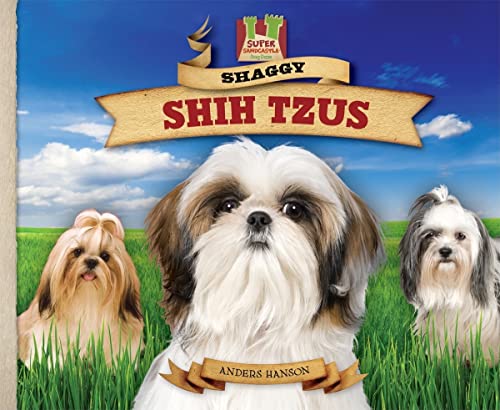 9781604536195: Shaggy Shih Tzus: Small But Sturdy! Lively! Alert! Proud! (Dog Daze)
