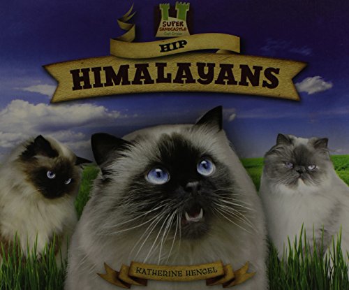 Stock image for Hip Himalayans (Cat Craze) for sale by Jenson Books Inc