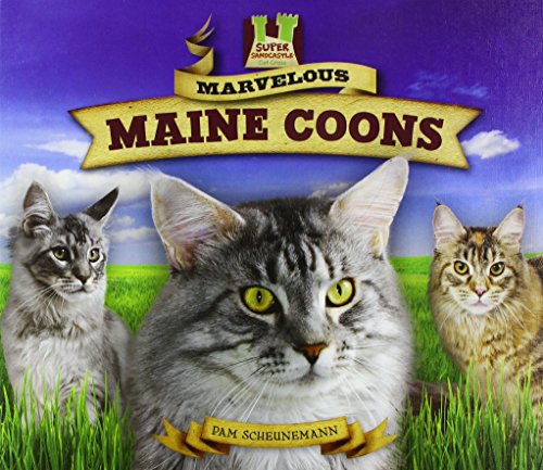 Beispielbild fr Marvelous Maine Coons (Cat Craze) zum Verkauf von Wonder Book