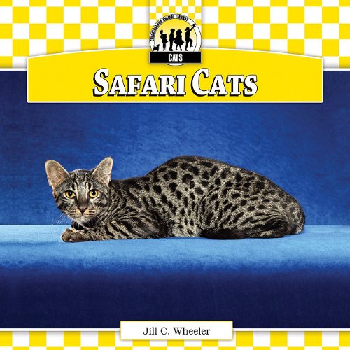 Safari Cats (Cats Set 5: Designer Cats) (9781604537314) by Wheeler, Jill C.