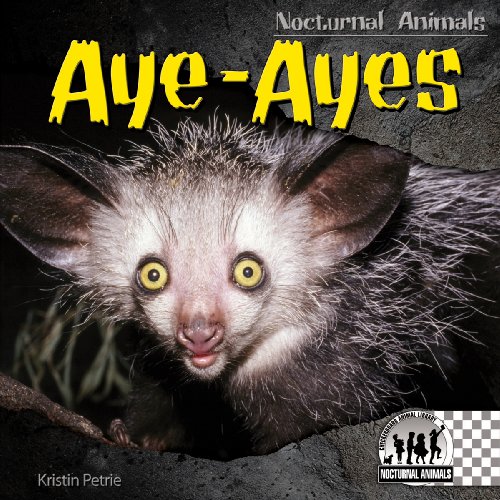 Imagen de archivo de Aye-ayes (Nocturnal Animals) a la venta por Idaho Youth Ranch Books