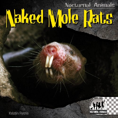 Beispielbild fr Naked Mole Rats zum Verkauf von Better World Books