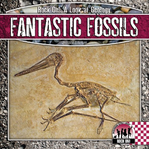 9781604537420: Fantastic Fossils (Rock on!: A Look at Geology)