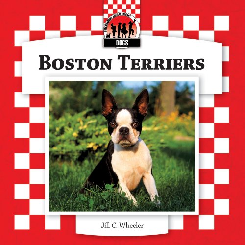 Boston Terriers (Dogs Set 8) (9781604537826) by Wheeler, Jill C.