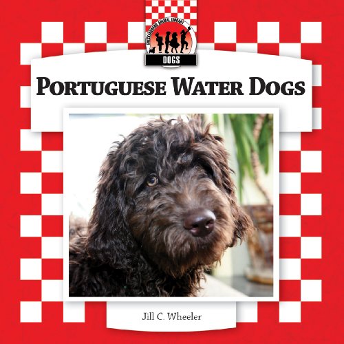 Beispielbild fr Portuguese Water Dogs zum Verkauf von Better World Books: West