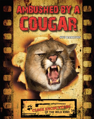 Beispielbild fr Ambushed by a Cougar zum Verkauf von ThriftBooks-Dallas