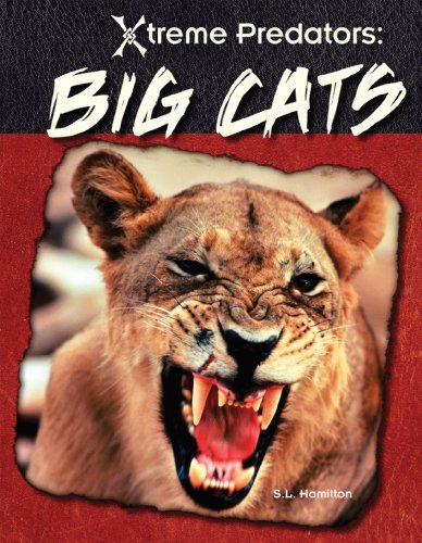 Big Cats (Xtreme Predators) (9781604539912) by Hamilton, S. L.