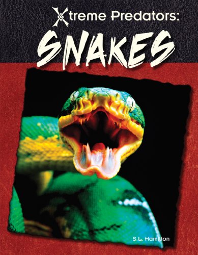 Stock image for Snakes (Xtreme Predators) for sale by Wonder Book