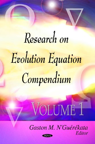 Imagen de archivo de Research on Evolution Equation Compendium a la venta por PBShop.store US