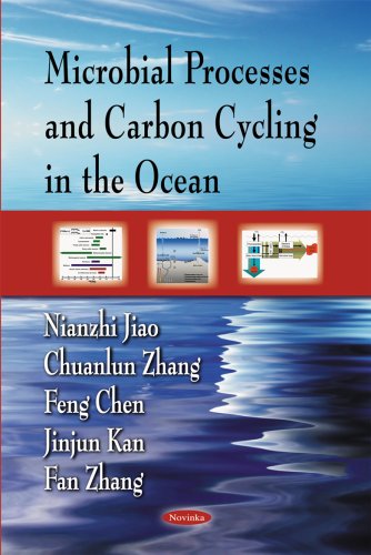 Stock image for Microbial Processes and Carbon Cycling in the Ocean for sale by Phatpocket Limited