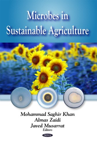 Stock image for Microbes in Sustainable Agriculture for sale by Buchpark