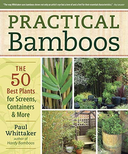 Beispielbild fr Practical Bamboos: The 50 Best Plants for Screens, Containers and More zum Verkauf von Half Price Books Inc.