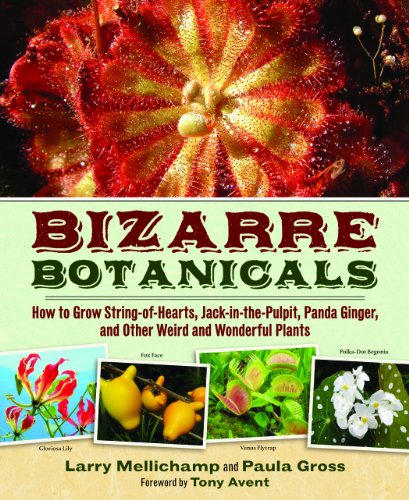 Beispielbild fr Bizarre Botanicals : How to Grow String-of-Hearts, Jack-in-the-Pulpit, Panda Ginger, and Other Weird and Wonderful Plants zum Verkauf von Better World Books