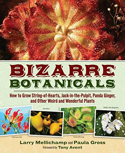 Stock image for Bizarre Botanicals: How to Grow String-of-Hearts, Jack-in-the-Pulpit, Panda Ginger, and Other Weird and Wonderful Plants for sale by SecondSale