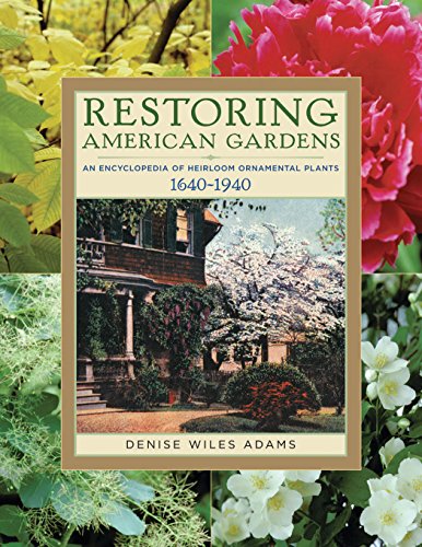 Imagen de archivo de Restoring American Gardens: An Encyclopedia of Heirloom Ornamental Plants, 1640-1940 a la venta por SecondSale