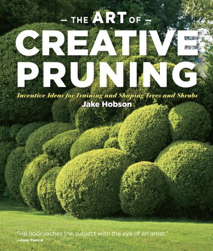 Imagen de archivo de The Art of Creative Pruning : Inventive Ideas for Training and Shaping Trees and Shrubs a la venta por Better World Books: West