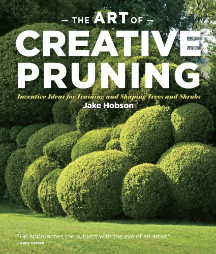 Stock image for The Art of Creative Pruning : Inventive Ideas for Training and Shaping Trees and Shrubs for sale by Better World Books