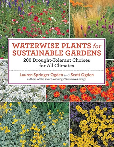 Stock image for Waterwise Plants for Sustainable Gardens: 200 Drought-Tolerant Choices for all Climates for sale by Irish Booksellers