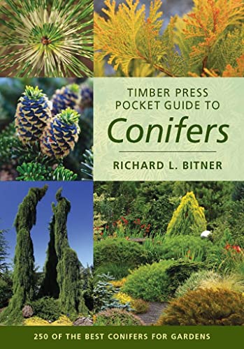 9781604691702: Timber Press Pocket Guide to Conifers (Timber Press Pocket Guides)