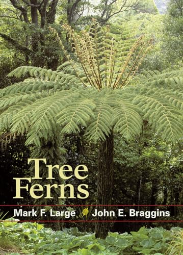 Imagen de archivo de Tree Ferns a la venta por GF Books, Inc.