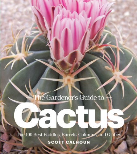 Stock image for The Gardener's Guide to Cactus: The 100 Best Paddles, Barrels, Columns, and Globes for sale by The Book Corner