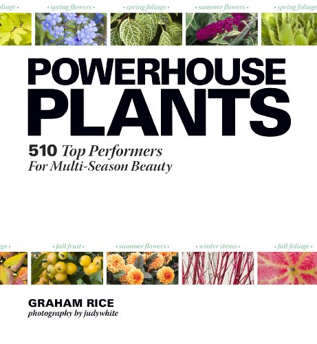 Beispielbild fr Powerhouse Plants: 510 Top Performers for Multi-Season Beauty zum Verkauf von WorldofBooks