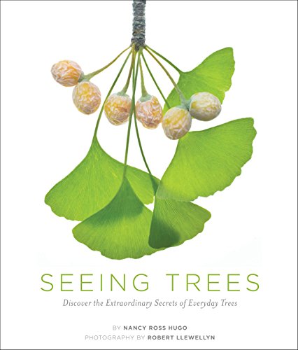 Stock image for Seeing Trees : Discover the Extraordinary Secrets of Everyday Trees for sale by Better World Books