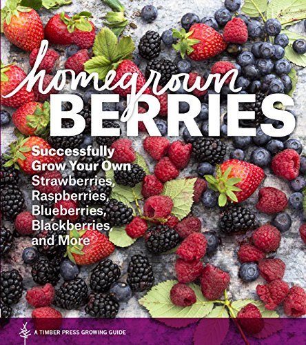 Stock image for Homegrown Berries: Successfully Grow Your Own Strawberries, Raspberries, Blueberries, Blackberries, and More for sale by HPB-Emerald