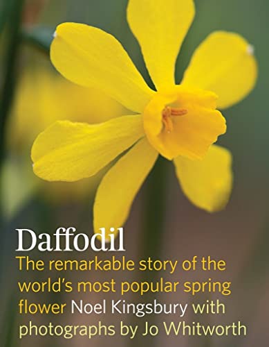 Stock image for Daffodil: The Remarkable Story of the World's Most Popular Spring Flower for sale by Goldstone Books