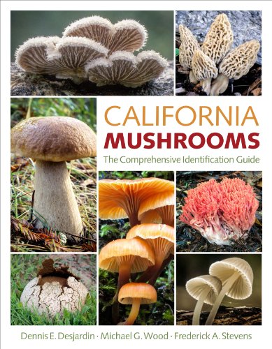 Stock image for California Mushrooms: The Comprehensive Identification Guide for sale by BooksRun