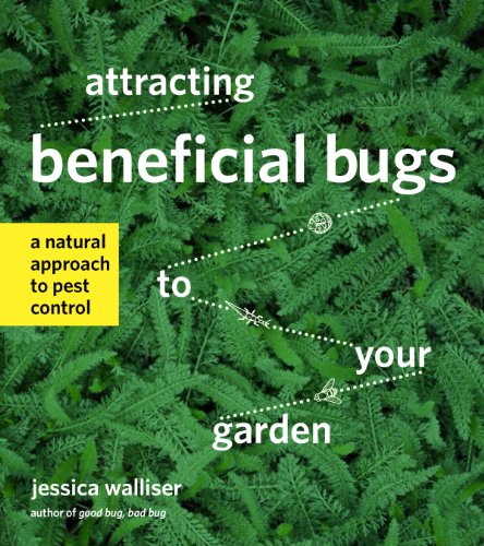 Beispielbild fr Attracting Beneficial Bugs to Your Garden : A Natural Approach to Pest Control zum Verkauf von Better World Books