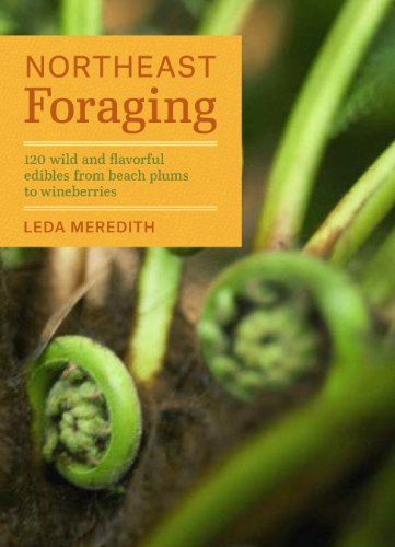 NORTHEAST FORAGING: 120 WILD AND FLAVORFUL EDIBLES