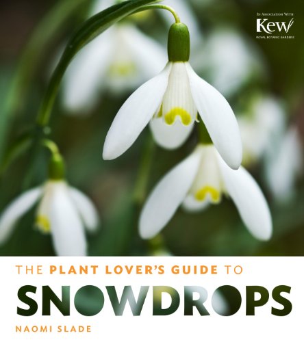 Imagen de archivo de The Plant Lover's Guide to Snowdrops (The Plant Lover's Guides) a la venta por SecondSale