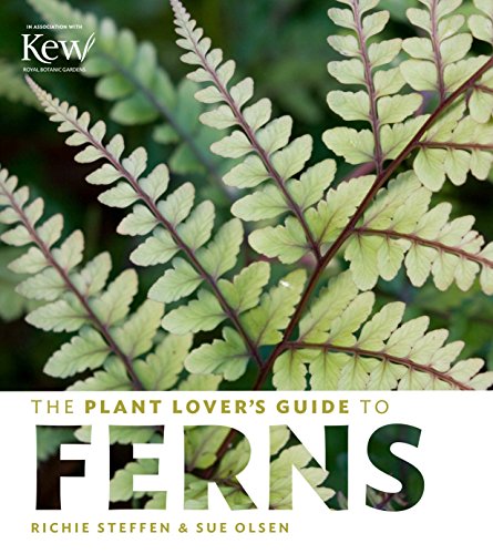 Stock image for The Plant Lover's Guide to Ferns (The Plant Lover's Guides) for sale by SecondSale