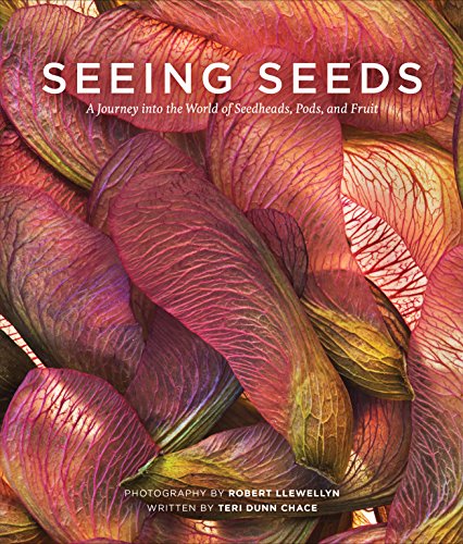 Imagen de archivo de Seeing Seeds: A Journey into the World of Seedheads, Pods, and Fruit (Seeing Series) a la venta por Zoom Books Company