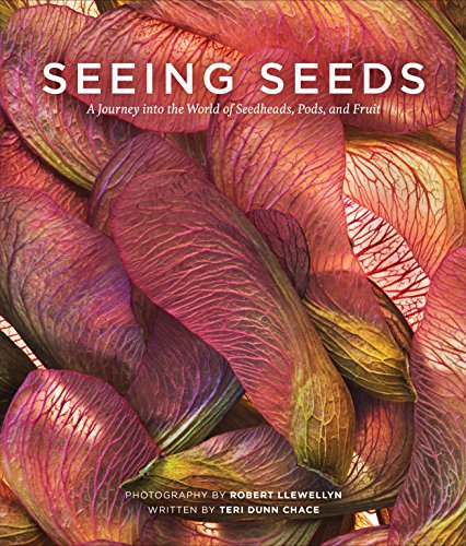 Stock image for Seeing Seeds: A Journey into the World of Seedheads, Pods, and Fruit (Seeing Series) for sale by Zoom Books Company