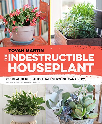 Stock image for The Indestructible Houseplant: 200 Beautiful Plants That Everyone Can Grow for sale by ThriftBooks-Dallas