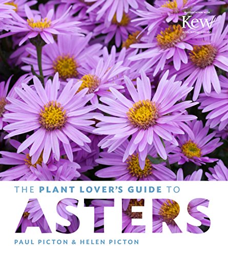 Stock image for Plant Lover's Guide to Asters for sale by Hennessey + Ingalls