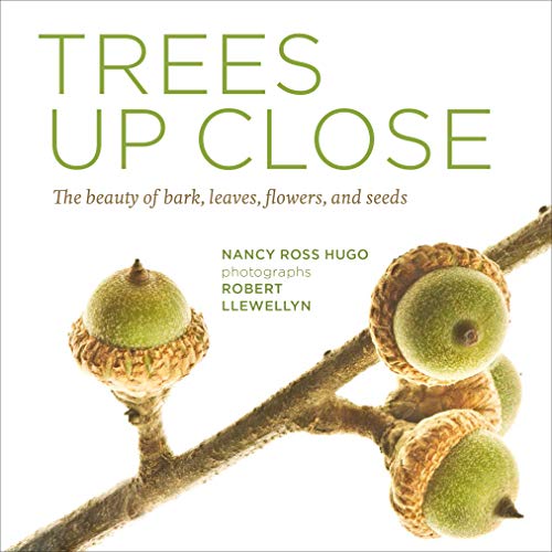 Imagen de archivo de Trees Up Close: The Beauty of Their Bark, Leaves, Flowers, and Seeds (Seeing Series) a la venta por SecondSale