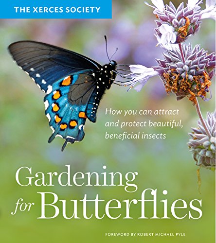 Stock image for Gardening for Butterflies: How You Can Attract and Protect Beautiful, Beneficial Insects for sale by Bookoutlet1