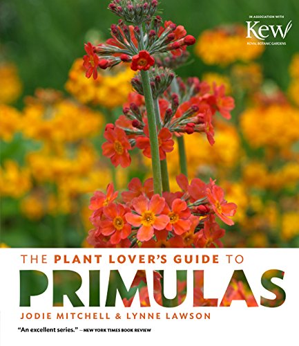 Stock image for The Plant Lover's Guide to Primulas (The Plant Lover  s Guides) for sale by GoldenWavesOfBooks