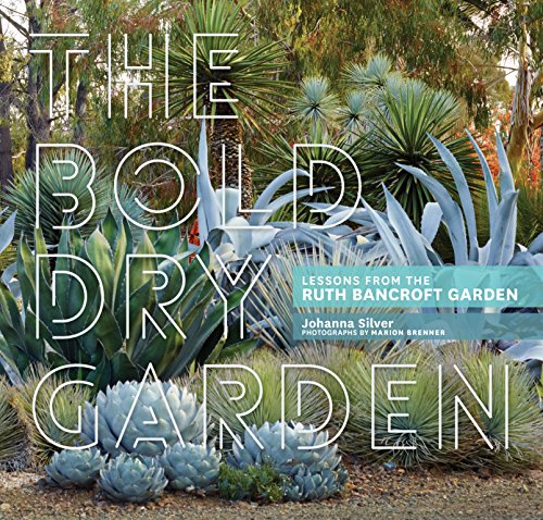 Beispielbild fr The Bold Dry Garden : Lessons from the Ruth Bancroft Garden zum Verkauf von Better World Books