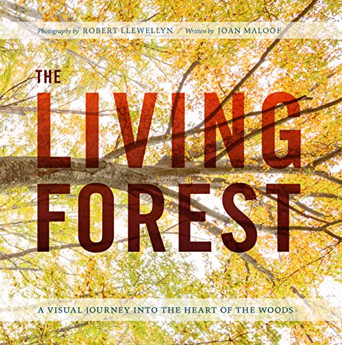 Stock image for The Living Forest: A Visual Journey Into the Heart of the Woods for sale by ZBK Books