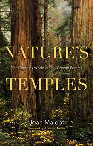 Beispielbild fr Nature's Temples: The Complex World of Old-Growth Forests zum Verkauf von Book_Mob